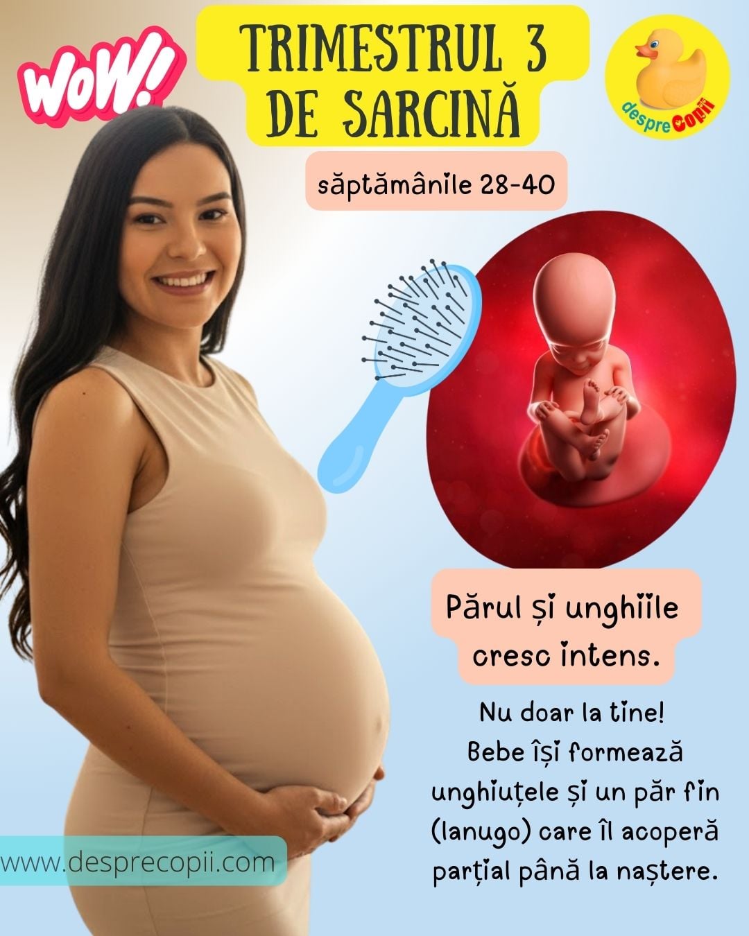 trimestrul trei de sarcina